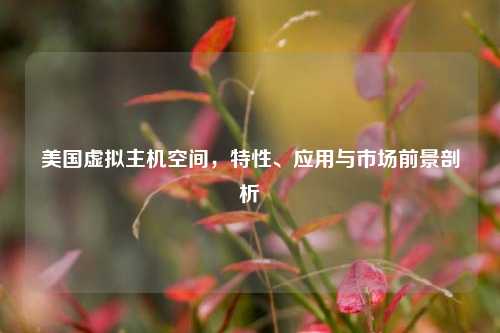 美国虚拟主机空间，特性、应用与市场前景剖析