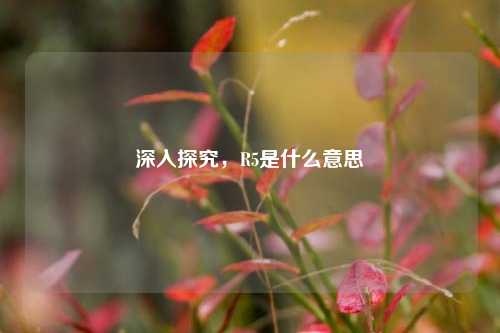 深入探究，R5是什么意思