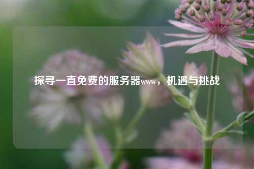 探寻一直免费的服务器www，机遇与挑战