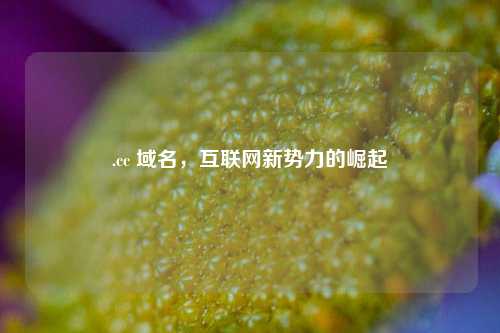 .cc 域名，互联网新势力的崛起