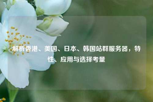 解析香港、美国、日本、韩国站群服务器，特性、应用与选择考量