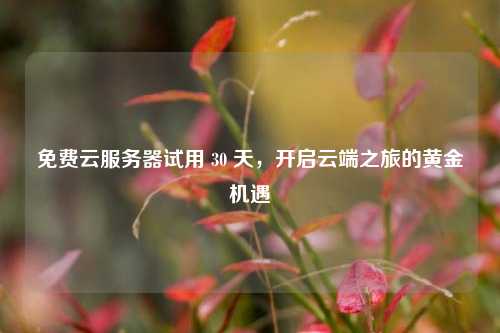 免费云服务器试用 30 天，开启云端之旅的黄金机遇