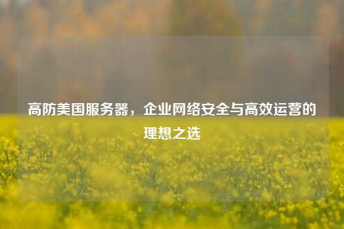 高防美国服务器，企业网络安全与高效运营的理想之选