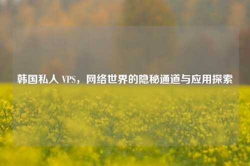 韩国私人 VPS，网络世界的隐秘通道与应用探索