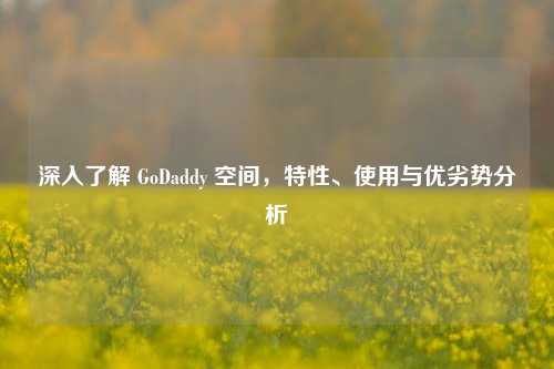 深入了解 GoDaddy 空间，特性、使用与优劣势分析