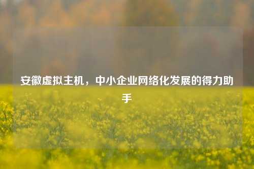 安徽虚拟主机，中小企业网络化发展的得力助手