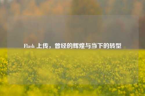 Flash 上传，曾经的辉煌与当下的转型