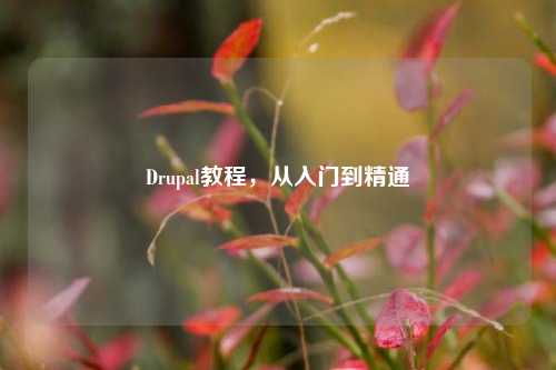 Drupal教程，从入门到精通
