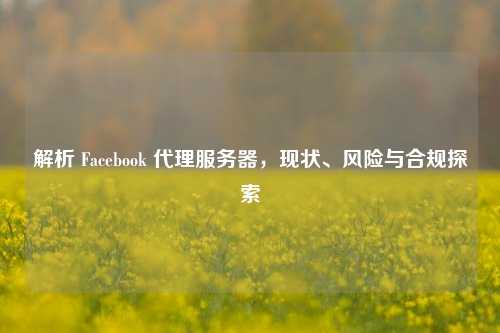 解析 Facebook 代理服务器，现状、风险与合规探索
