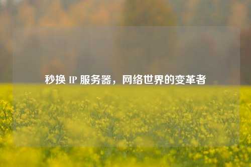 秒换 IP 服务器，网络世界的变革者