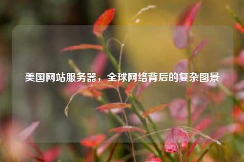 美国网站服务器，全球网络背后的复杂图景