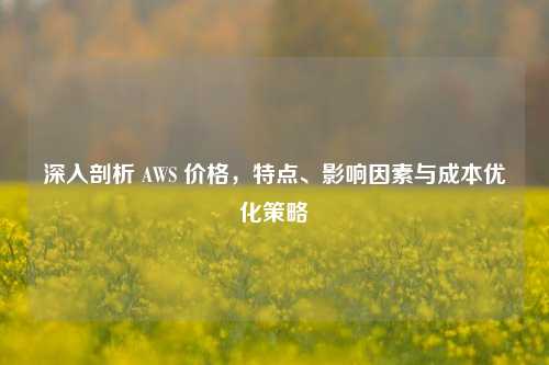 深入剖析 AWS 价格，特点、影响因素与成本优化策略