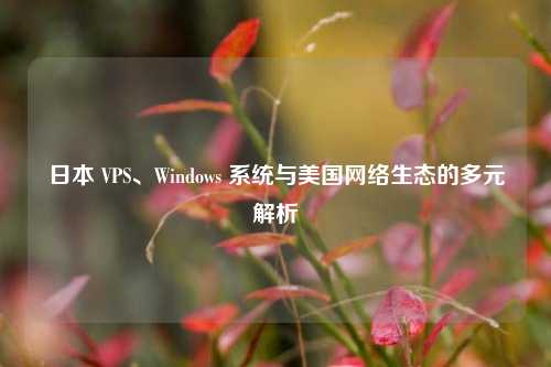 日本 VPS、Windows 系统与美国网络生态的多元解析