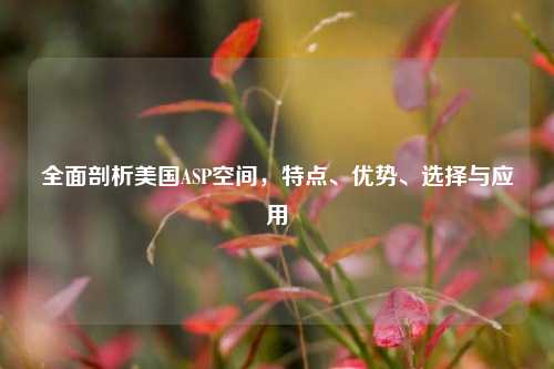 全面剖析美国ASP空间，特点、优势、选择与应用