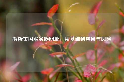 解析美国服务器网址，从基础到应用与风险