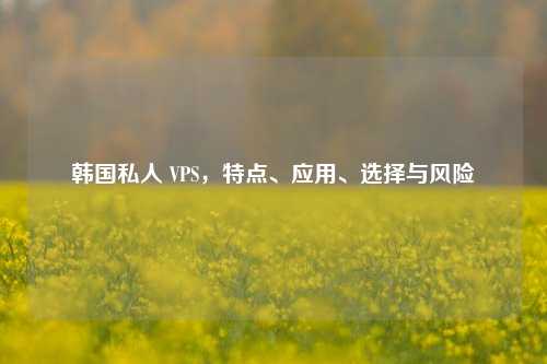 韩国私人 VPS，特点、应用、选择与风险