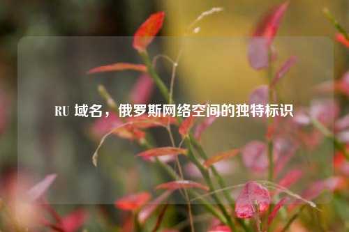 RU 域名，俄罗斯网络空间的独特标识