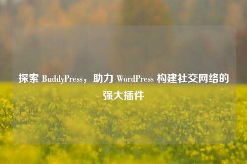 探索 BuddyPress，助力 WordPress 构建社交网络的强大插件