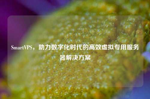 SmartVPS，助力数字化时代的高效虚拟专用服务器解决方案