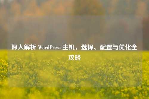 深入解析 WordPress 主机，选择、配置与优化全攻略