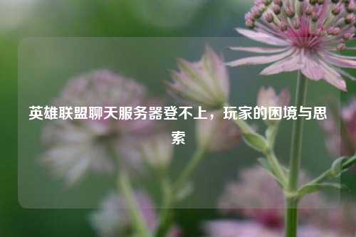 英雄联盟聊天服务器登不上，玩家的困境与思索