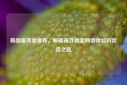 韩国服务器推荐，解锁高效稳定网络体验的优选之选