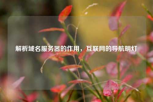 解析域名服务器的作用，互联网的导航明灯