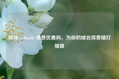 探寻 GoDaddy 续费优惠码，为你的域名续费精打细算