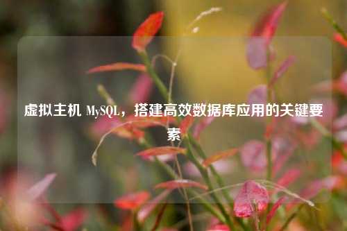 虚拟主机 MySQL，搭建高效数据库应用的关键要素
