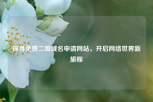 探寻免费二级域名申请网站，开启网络世界新旅程