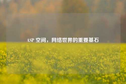 ASP 空间，网络世界的重要基石