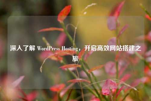 深入了解 WordPress Hosting，开启高效网站搭建之旅
