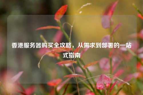 香港服务器购买全攻略，从需求到部署的一站式指南