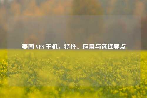美国 VPS 主机，特性、应用与选择要点