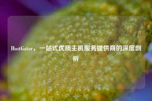 HostGator，一站式优质主机服务提供商的深度剖析
