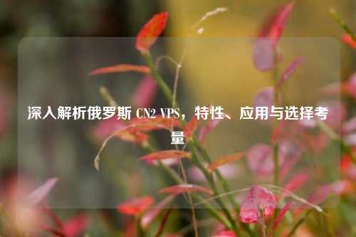 深入解析俄罗斯 CN2 VPS，特性、应用与选择考量