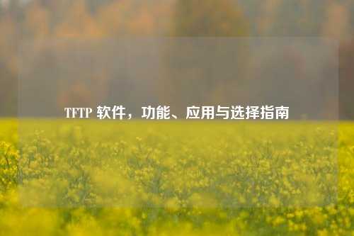 TFTP 软件，功能、应用与选择指南
