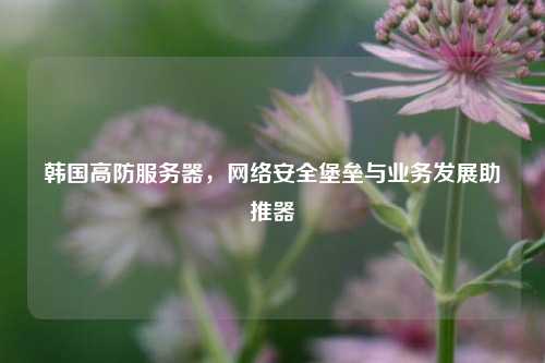 韩国高防服务器，网络安全堡垒与业务发展助推器