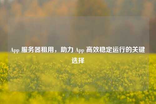 App 服务器租用，助力 App 高效稳定运行的关键选择