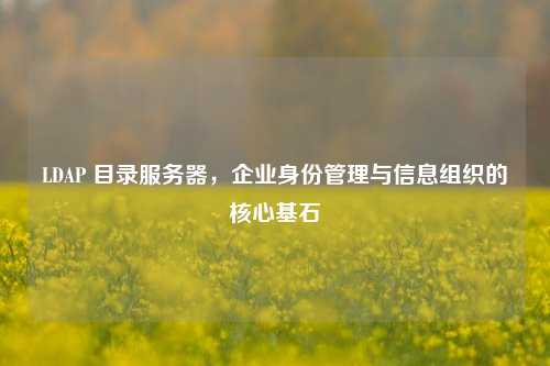 LDAP 目录服务器，企业身份管理与信息组织的核心基石