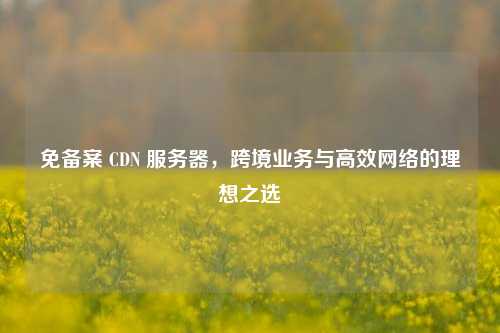 免备案 CDN 服务器，跨境业务与高效网络的理想之选