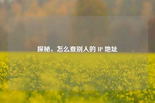 探秘，怎么查别人的 IP 地址