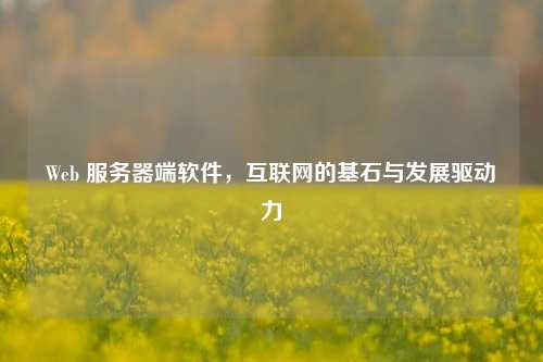 Web 服务器端软件，互联网的基石与发展驱动力