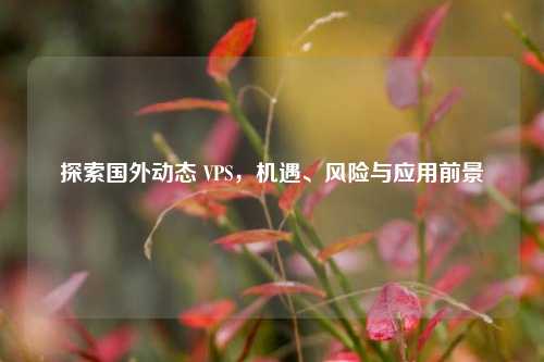 探索国外动态 VPS，机遇、风险与应用前景