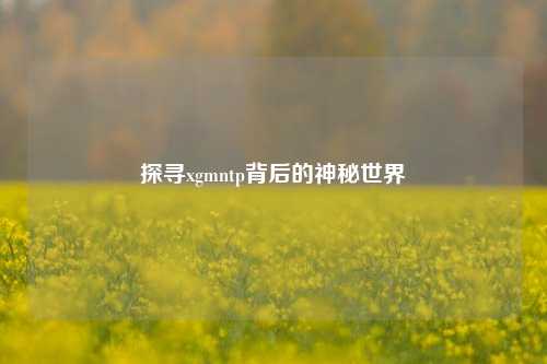 探寻xgmntp背后的神秘世界