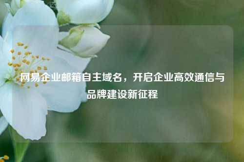 网易企业邮箱自主域名，开启企业高效通信与品牌建设新征程