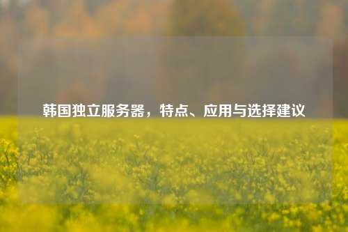 韩国独立服务器，特点、应用与选择建议