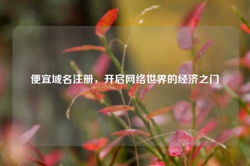 便宜域名注册，开启网络世界的经济之门