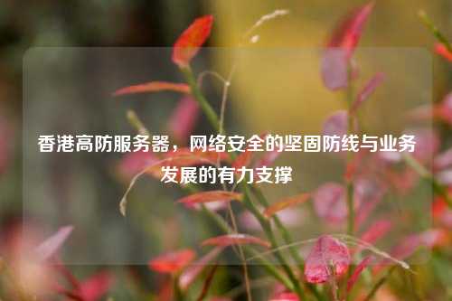 香港高防服务器，网络安全的坚固防线与业务发展的有力支撑