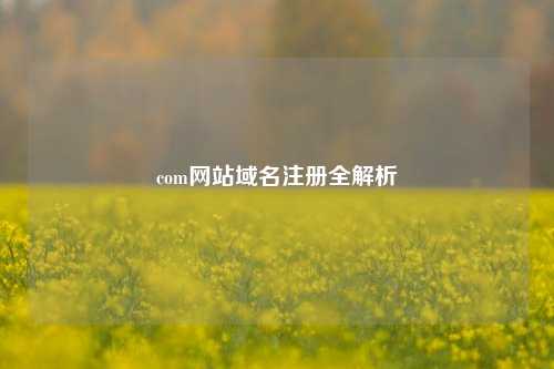 com网站域名注册全解析